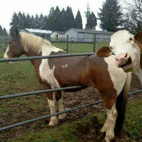 Meet your Posher, Jayson - Picture 2 of 2